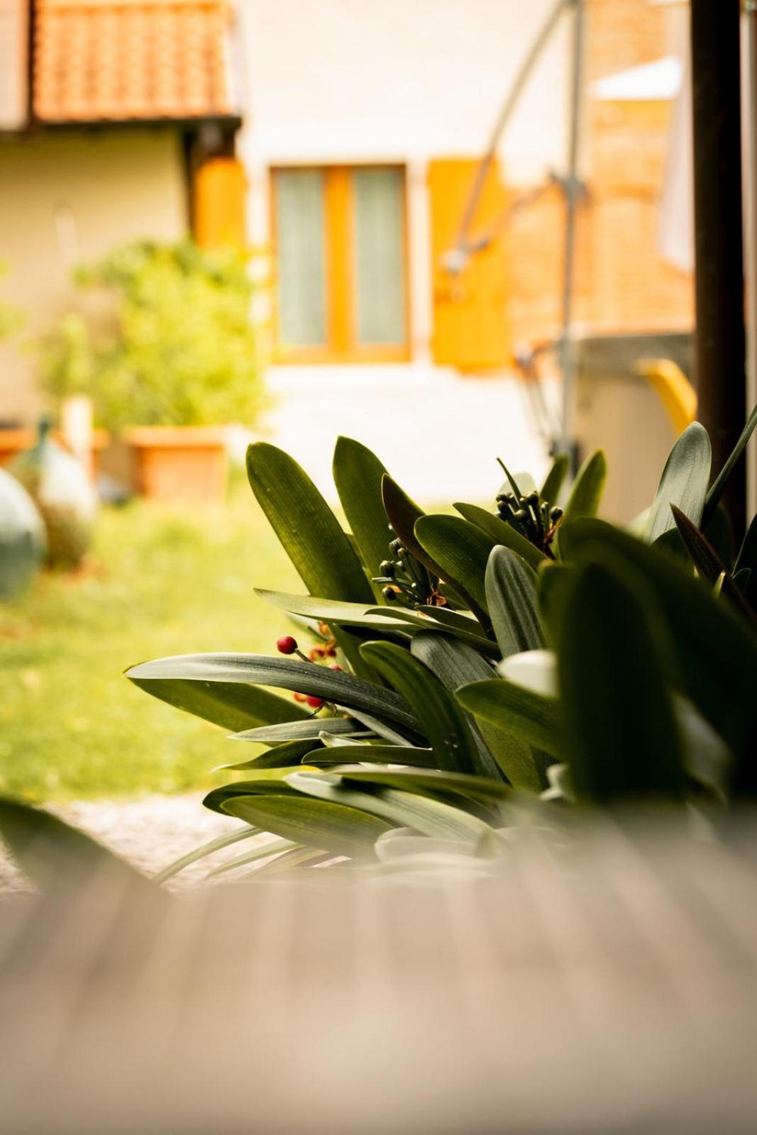 Agriturismo Podere Nigriano サロ エクステリア 写真