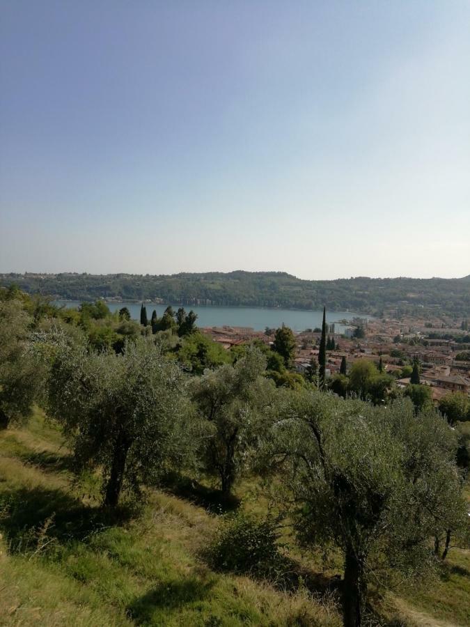 Agriturismo Podere Nigriano サロ エクステリア 写真